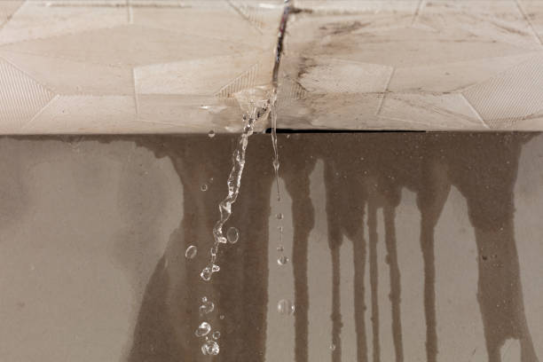 Professional Structural Drying technician working in Weir, TX